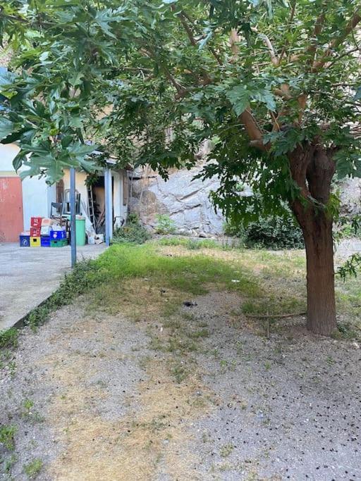Appt 4 Pers Avec Jardin Ombrage En Centre Ville De 세테 외부 사진