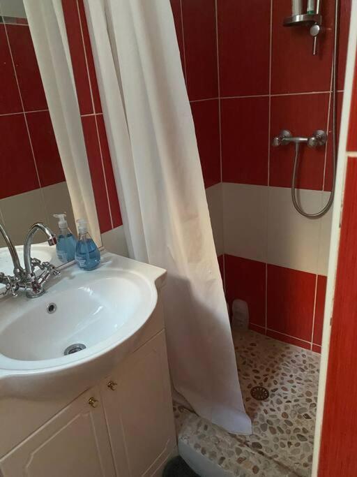 Appt 4 Pers Avec Jardin Ombrage En Centre Ville De 세테 외부 사진